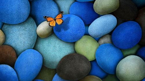 1372535588_yellow-butterfly-on-blue-stone_500